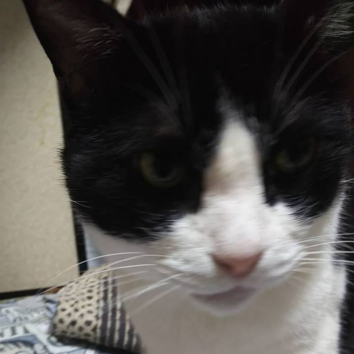 4c204fa5 3ac5 42f3 86a6 d96e91195f6e 1569448320276