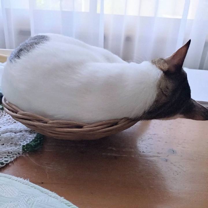 4c206463 fa35 4790 af34 4bf1cb5fd8fc 1725172675366