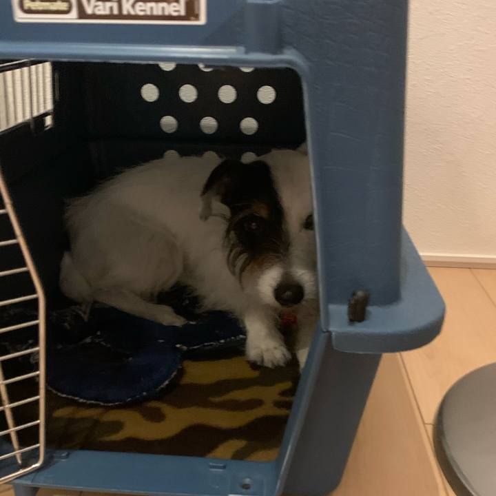 4c20761f 4b01 4d30 bdb8 c5633f884641 1682675162718