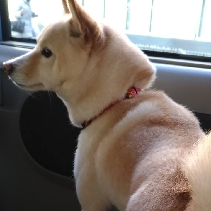 4c20b3b5 1078 4b3c 9a4e 73a36b92682f 1579431442219