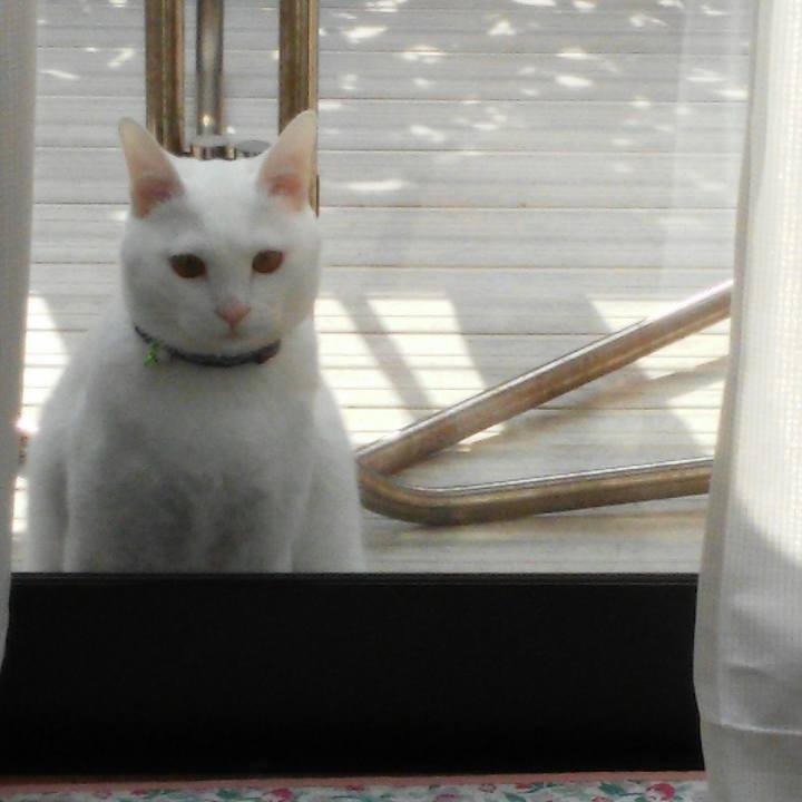 4c2120fd eaeb 4cf1 b543 524d586c72e1 1516329932587