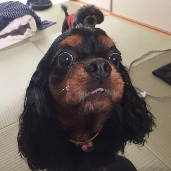 4c214aed 78b3 4bf1 b79f 60de530b3f06 1524642018735