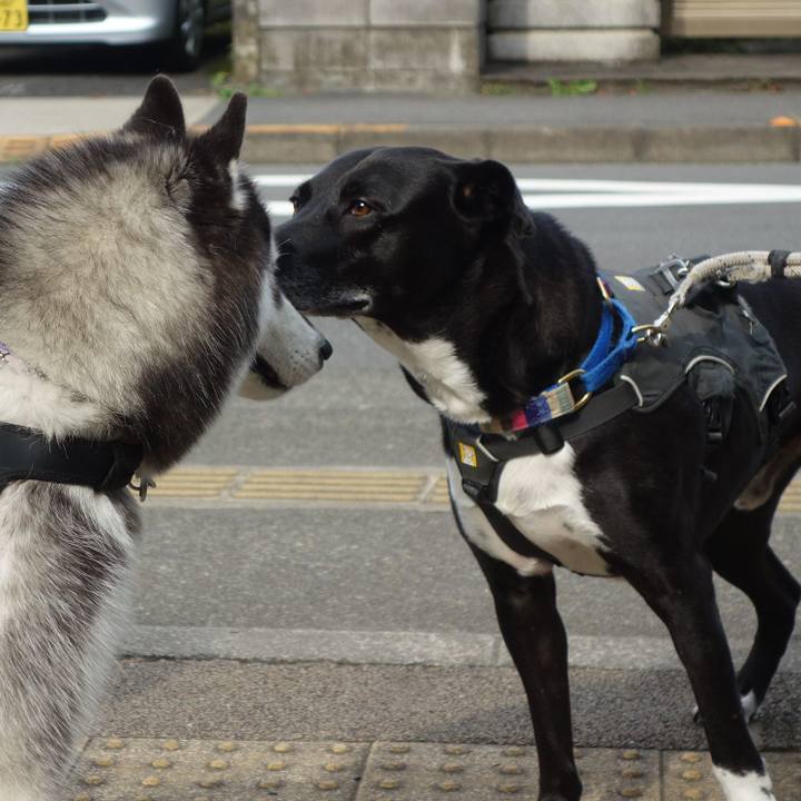 4c215450 345d 495c 8821 0f4eb7e0d246 1655684066924