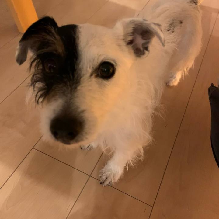 4c216f14 3a22 49f9 a247 f300ca1fac66 1613556761545