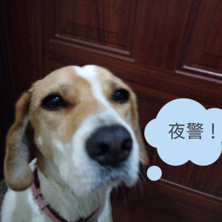 4c219253 6325 4675 ab04 81a261261639 1584453688435