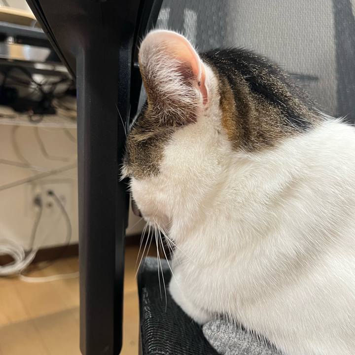 4c2197b0 8783 4502 9816 6a20035250a5 1702337617609