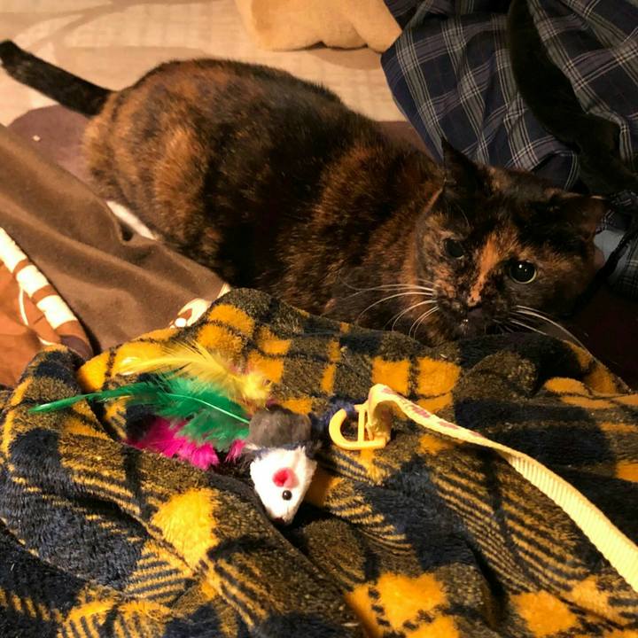 4c21ac5f f44d 46fb ba34 3f21014b9e0e 1613956537843