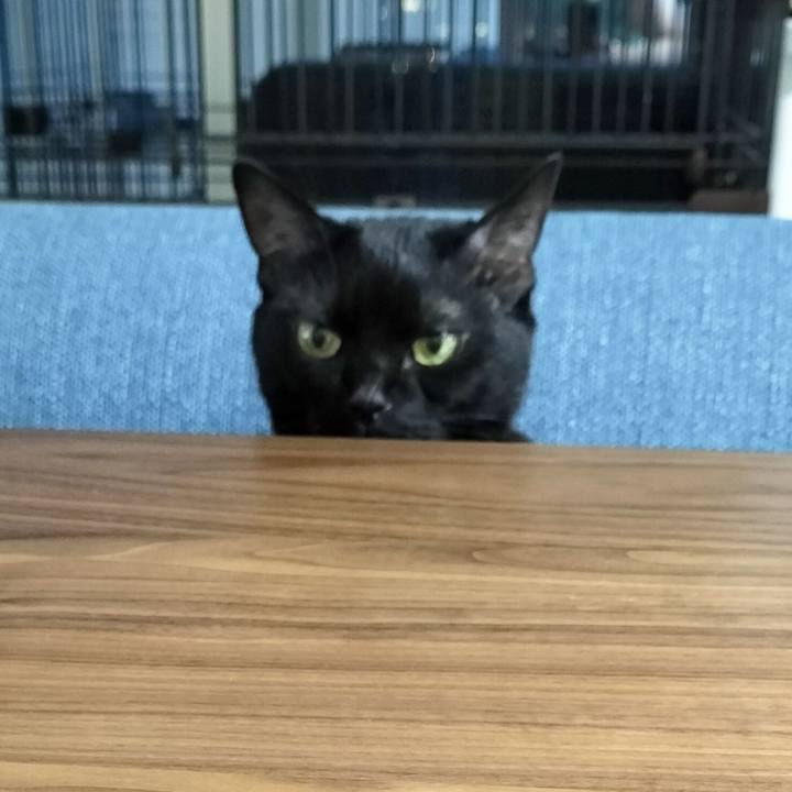 4c21cadc c7d6 4ff4 a42e d8137b8e87bb 1688124934709