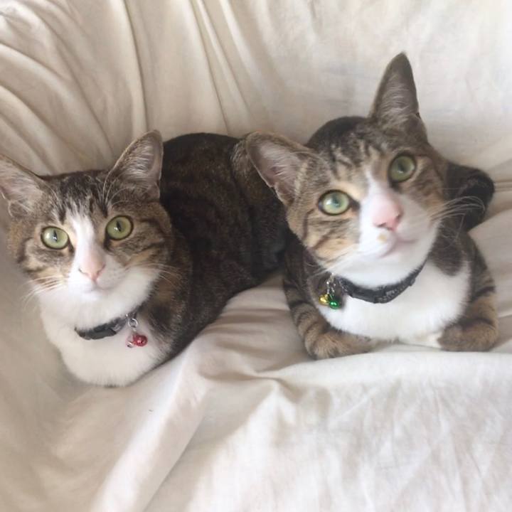 4c21db47 999d 4650 bc80 8f1baa6b5608 1684754192351