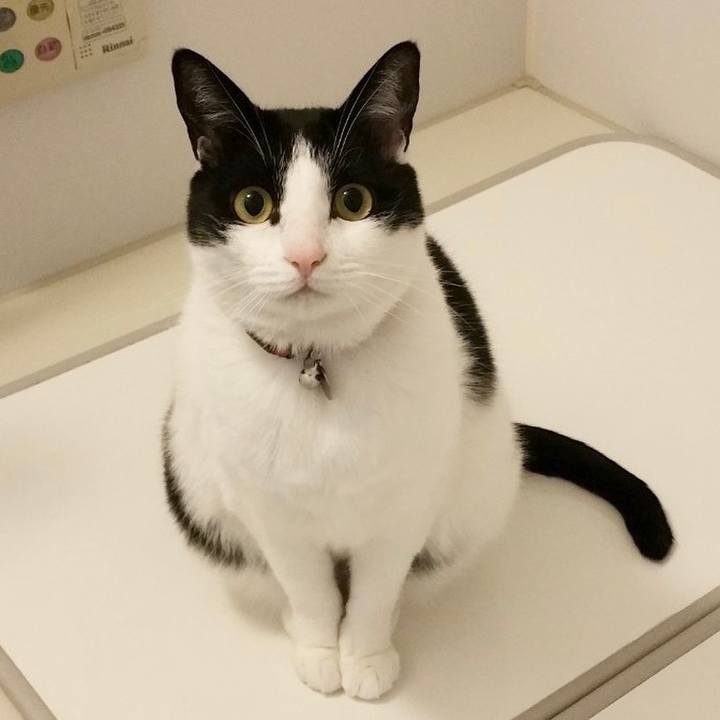 4c21dbb2 6793 470c a9c7 1498649d05e7 1615248919493