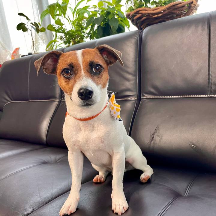 4c2213a4 e21c 4f0d 9f6c 70c3b58a95ad 1629014391251