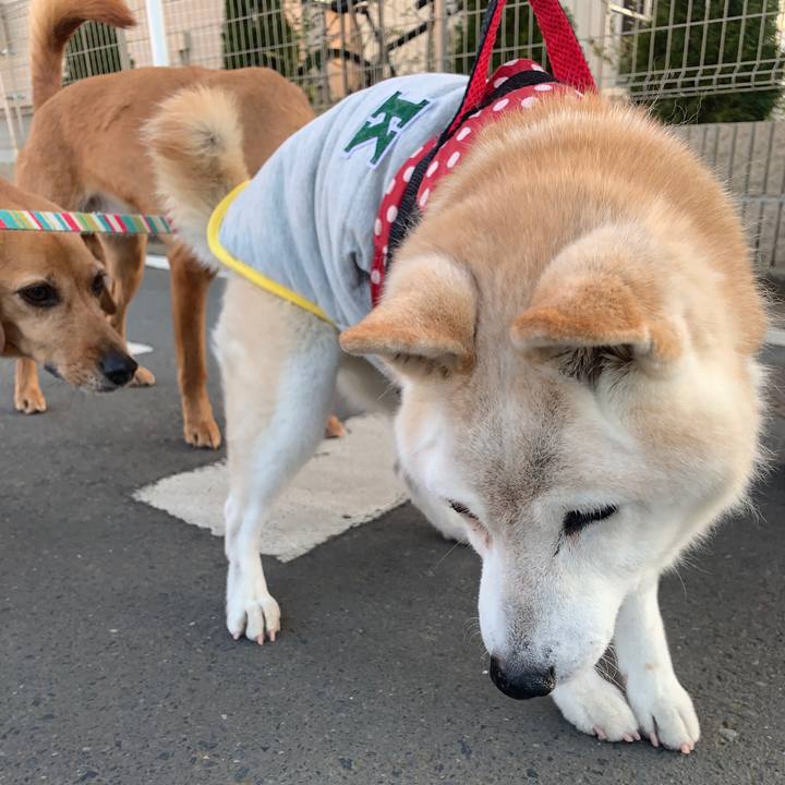 4c22248f c983 4fee 87e0 98d7ddc8b8b9 1577862505643