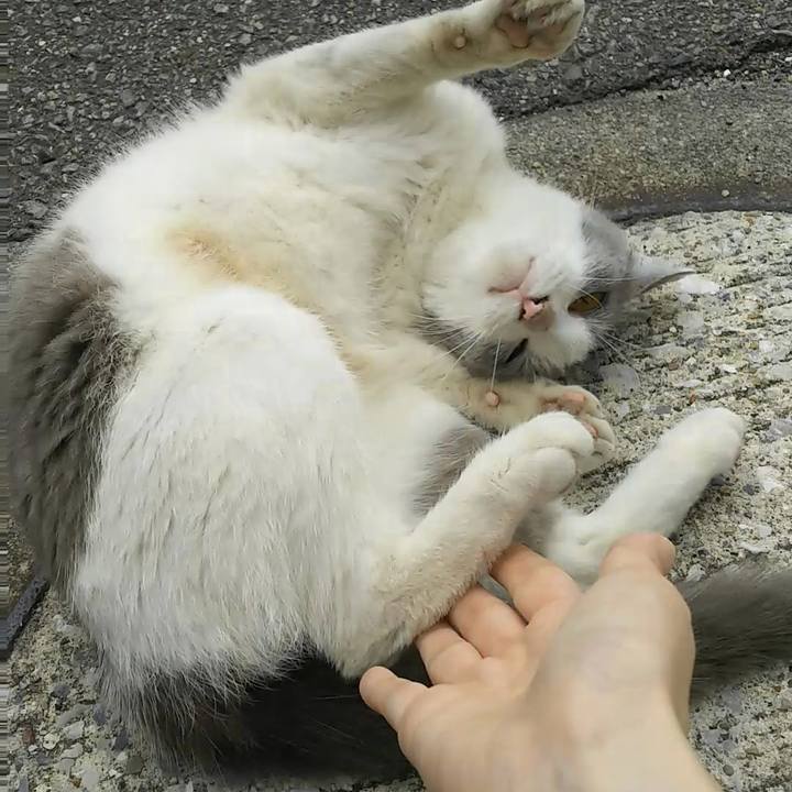 4c2225c0 21d2 4871 867d f3dc27012104 1530677411764