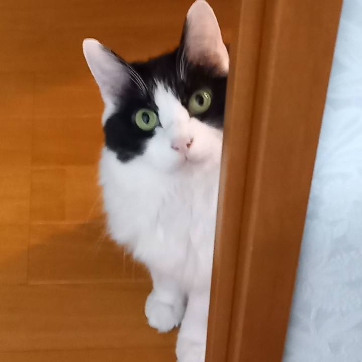 4c2230ba 099f 4dae b7c5 99a42538bcd6 1617231257182