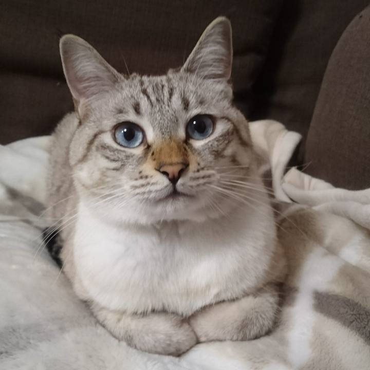 4c223b8b a5aa 4a18 9070 7f65b15484bf 1507904253091