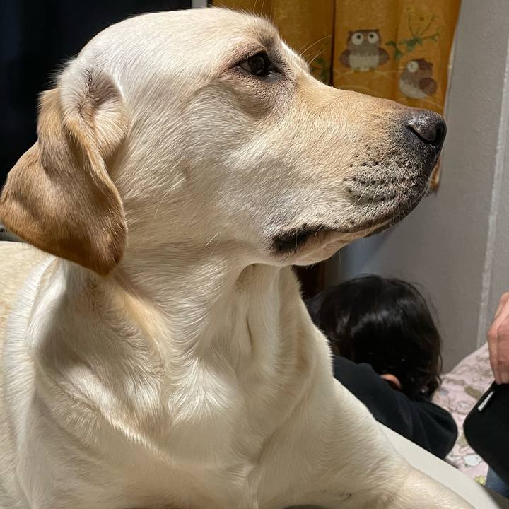 4c226b03 38b9 40d0 ab3b 55c05b56bd3e 1644229655228