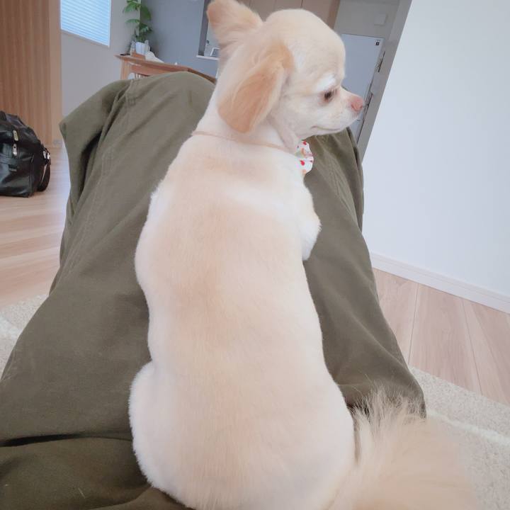 4c2297a9 287d 4097 9ad1 221b395d0237 1755604061601