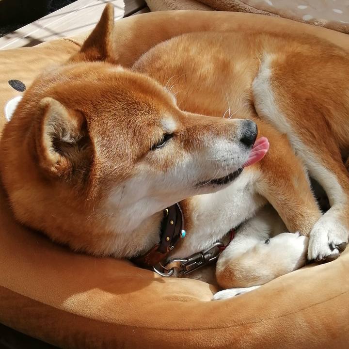 4c2298ba e508 4469 908c d71ab4cb12c4 1614154738252