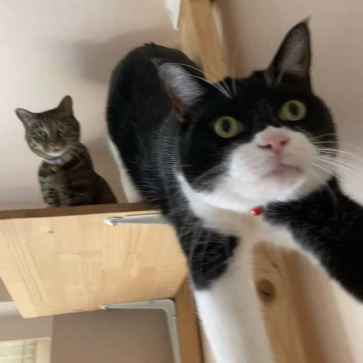 4c229e97 12b8 4284 ac31 de10c992a531 1700530121913