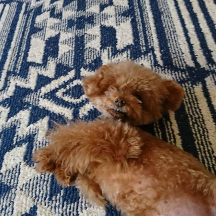 4c22a263 fcb1 4e6a ba4a b595558458b3 1515973141606