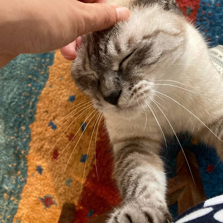 4c22bd57 99a8 4afd a9c1 d9e2497f52b3 1596152448389