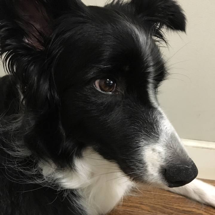 4c22d937 9d83 4624 94dd 119339f581d4 1532326470507