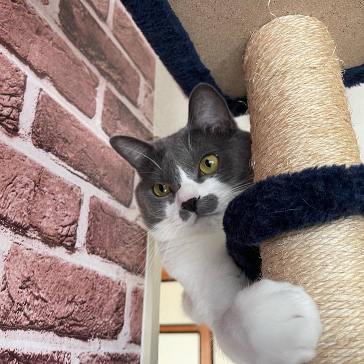 4c22df67 3734 4c4f bbce e04e0b238f58 1665808963991