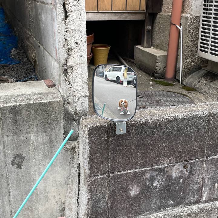 4c22e14a 9506 4612 852e 28a769ae2865 1653007645527