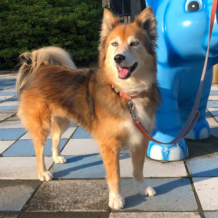 4c231392 1925 48b1 a809 4ecd1788fc2d 1655022758815