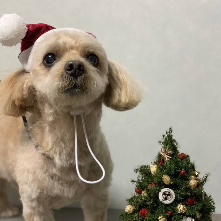 4c232ee1 52e4 4247 a111 6ac1b1b53b24 1702118781464