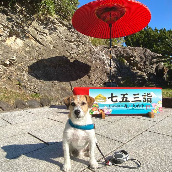 4c2342bf 30bf 4573 8e7c df3dc06efd9d 1669391833247