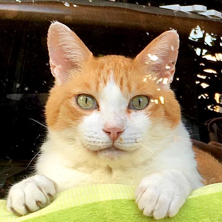 4c23573e d826 45c2 9112 82b51abeaa2b 1598329323534