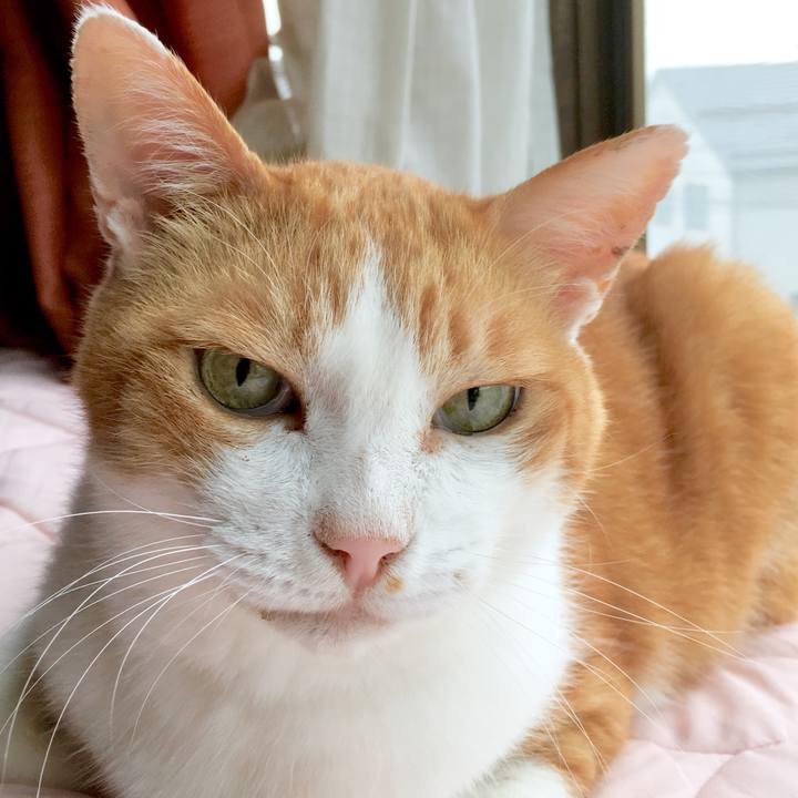 4c235f7f c46b 4cf5 8353 dd84d95875ee 1566616198782