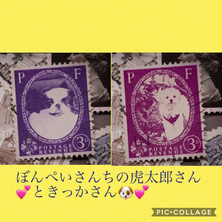 4c23b411 06a5 4ae9 a222 a420d3fbcb2c 1570092620203