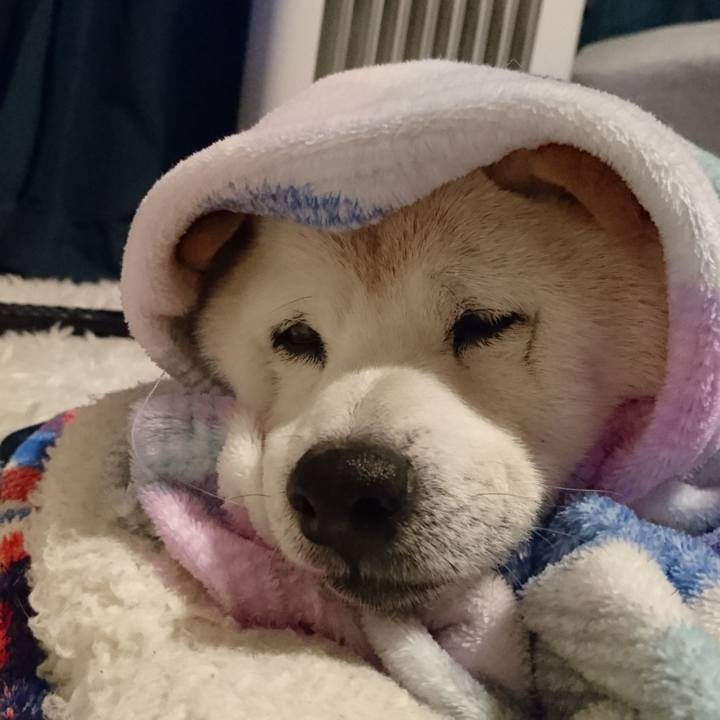 4c23c0e3 3704 4281 9338 17b37a4397bf 1640516428919