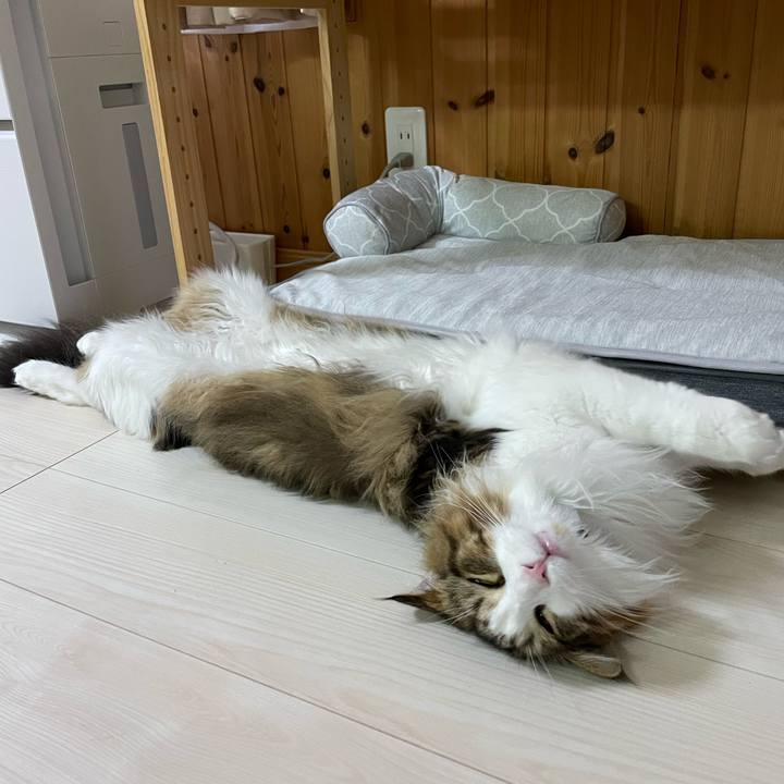 4c23c6bf d1e4 4798 96ca 79a7915a87b5 1657102334114