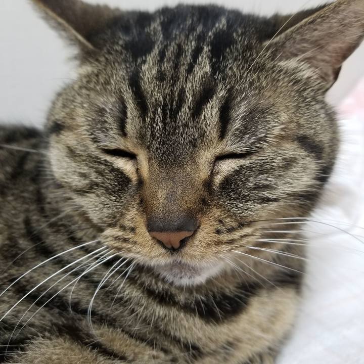 4c23f70a 0867 49e7 859b 91e2bfe8507b 1621286599698