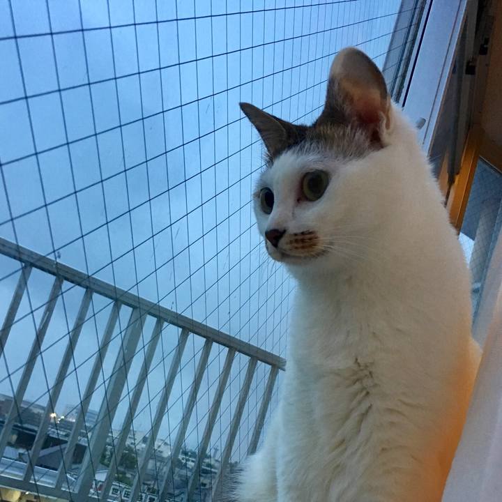 4c244a6f 1ff5 44c2 814a 2c8006123d55 1556719100207