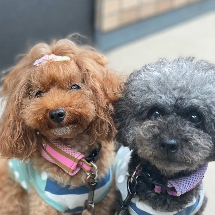 4c24ab41 2dfa 49df b977 9c8164e4a455 1624937311022