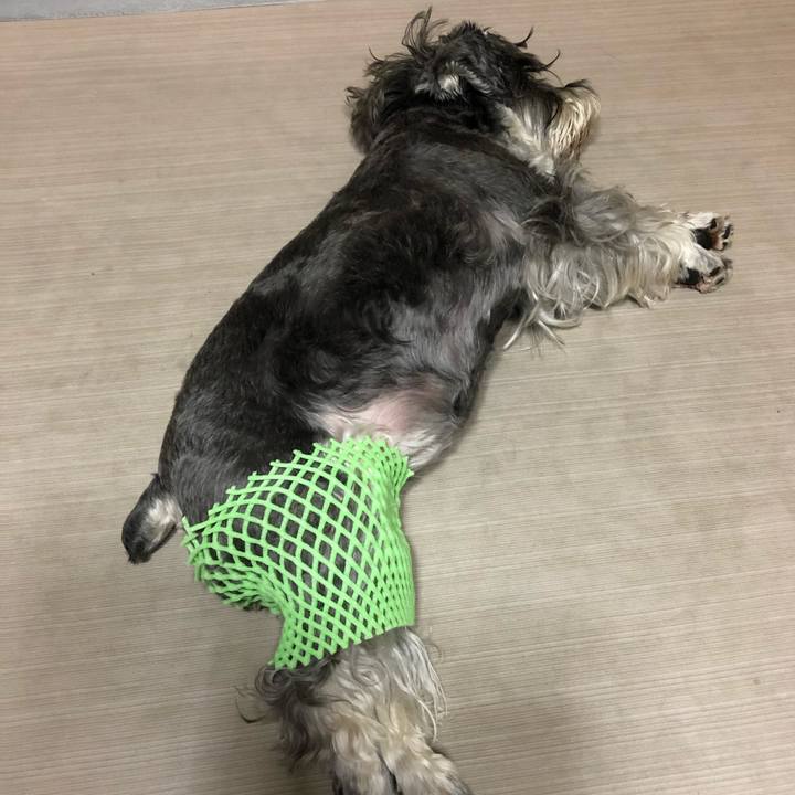 4c24e407 35ca 42ab a6c6 2ca0b66ec9ed 1630328783631