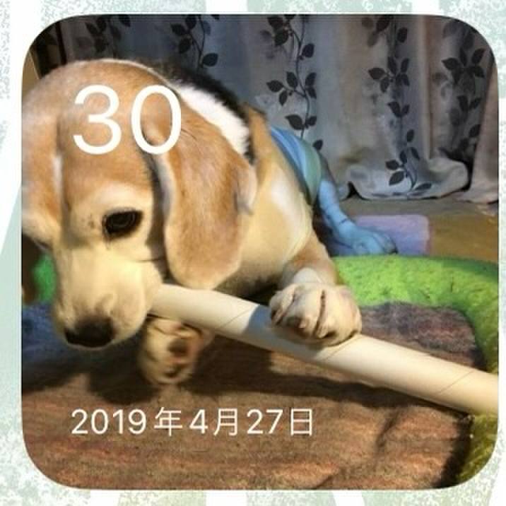 4c2528aa cfbc 47f5 a3cc 072e8d968112 1714484016966