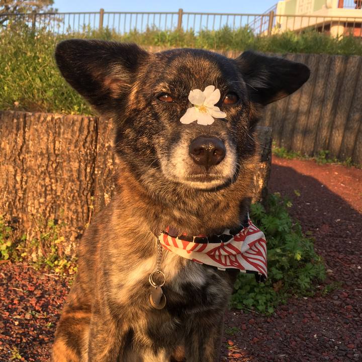 4c254c38 6d9f 4016 92da c4a7f47f4172 1554736339128