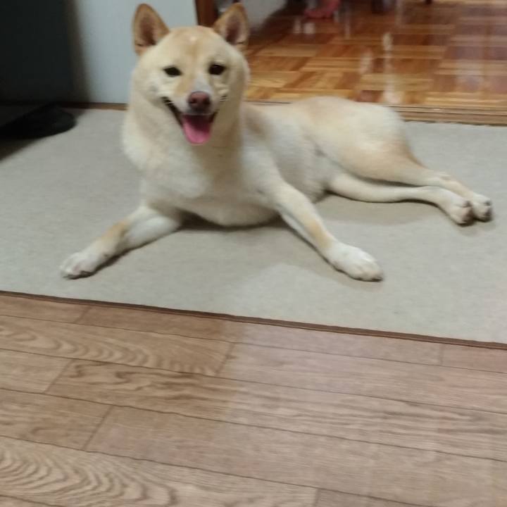 4c2562fd 8f14 4c3d 8168 4666240e972f 1532829990453