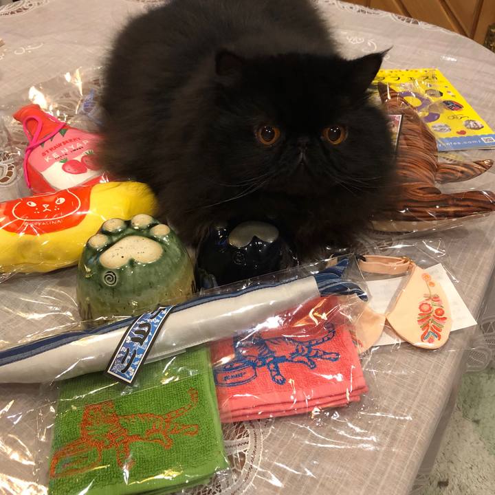 4c256524 99a9 4bb8 9f4d 8571d1b56388 1555938427510