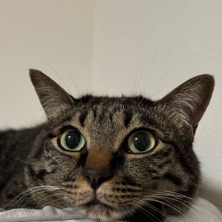 4c2568e8 2e7e 4ae6 b0ac 89470b01ead8 1719055996836