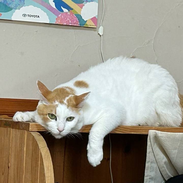 4c25dfaf ba2c 4b7b 9387 e3f121a6a4bc 1687673593270