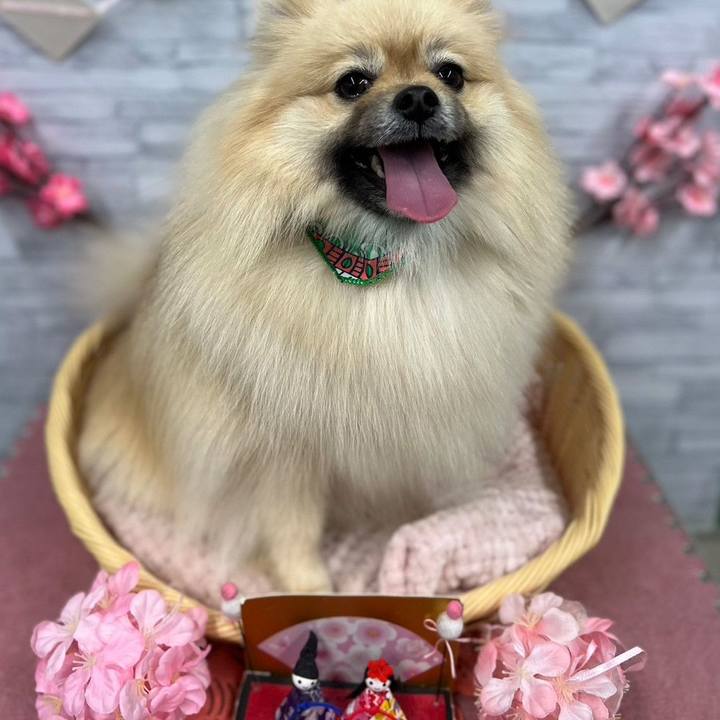 4c25e310 7b1b 4eae 8b66 57d67be01d5d 1677926812144