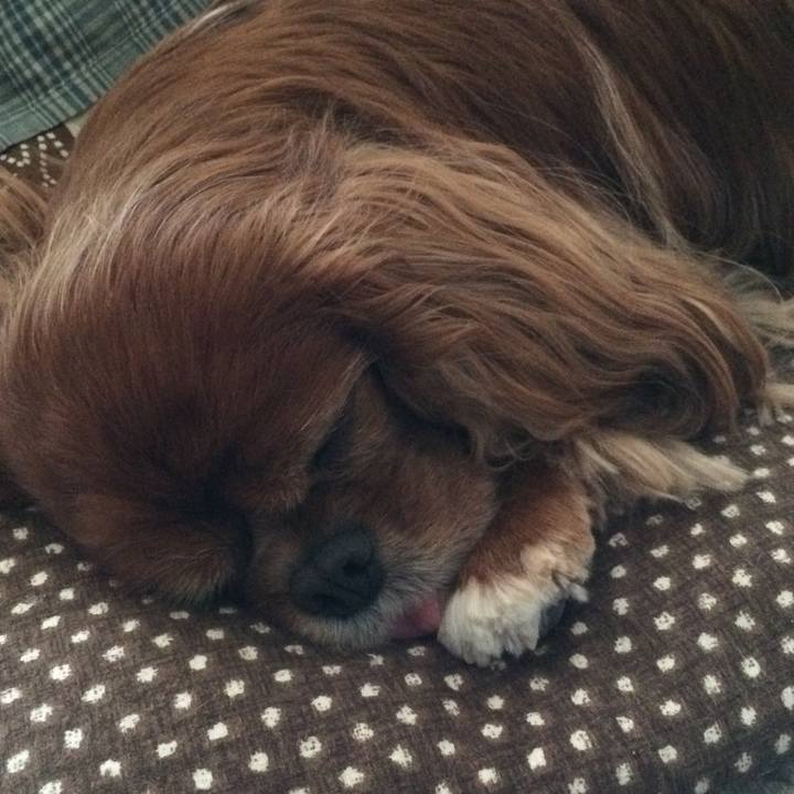 4c25f3b8 3c86 42ca 84c3 ca4896ab53e4 1532953193197