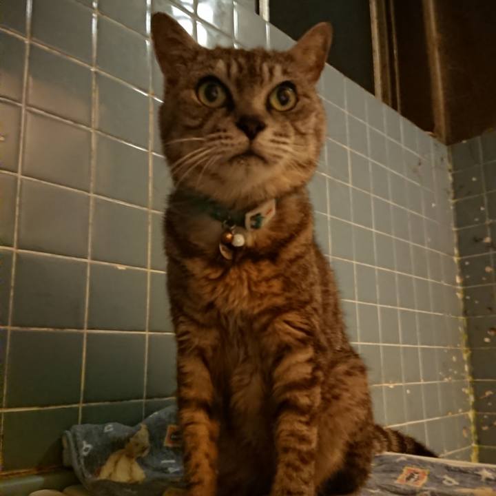 4c25f85d 2aaa 4474 a8d9 7b7707a6f08c 1566040548443