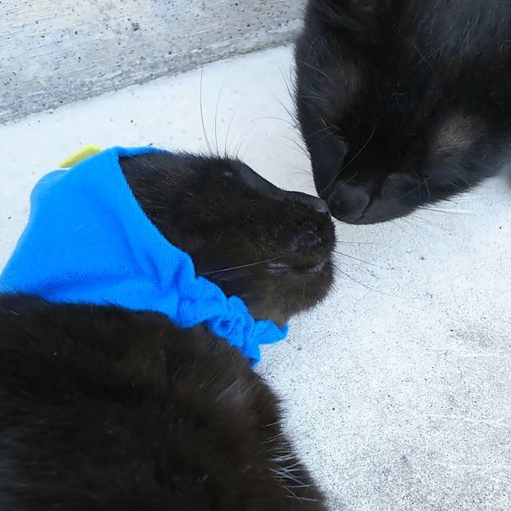 4c25fb43 c4af 4325 8425 a6f5eda4d566 1558067909466